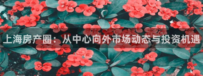 新宝5开好：上海房产圈：从中心向外市场动态与投资机遇