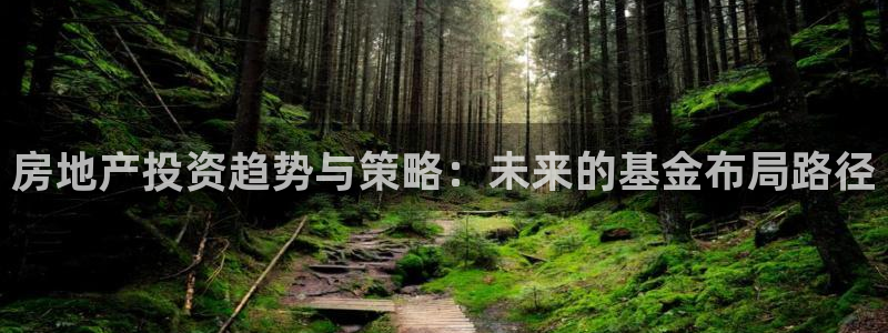 新宝5平台登录注册：房地产投资趋势与策略：未来的基金布局路径