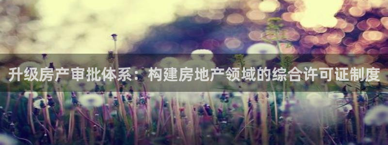 新宝5吕74OOO5：升级房产审批体系：构建房地产领域的综合