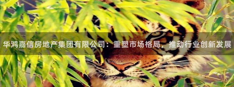 新宝5注册登录：华鸿嘉信房地产集团有限公司：重塑市场格局，推