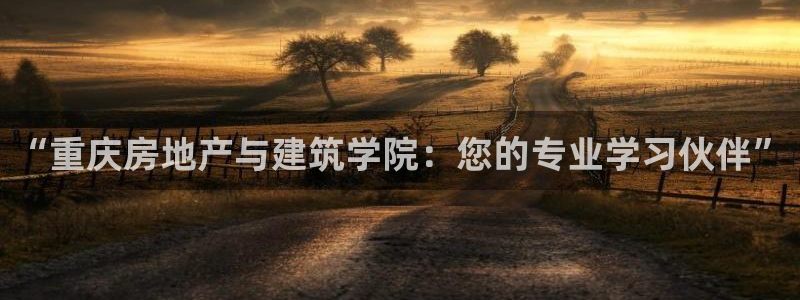 新宝5链接：“重庆房地产与建筑学院：您的专业学习伙伴”