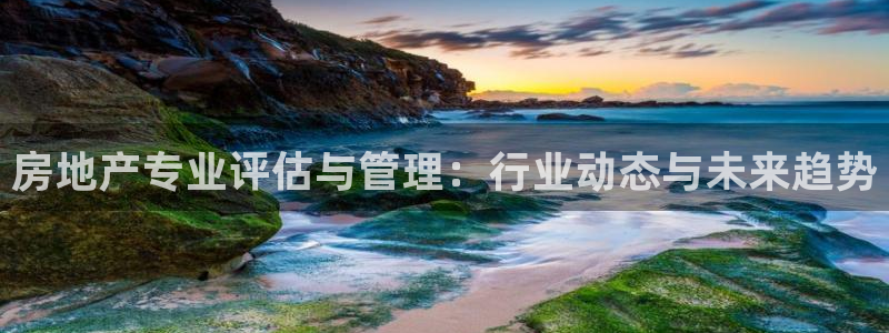 新宝5客户端登录：房地产专业评估与管理：行业动态与未来趋势