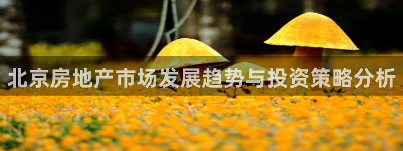 新宝rc_5w：北京房地产市场发展趋势与投资策略分析