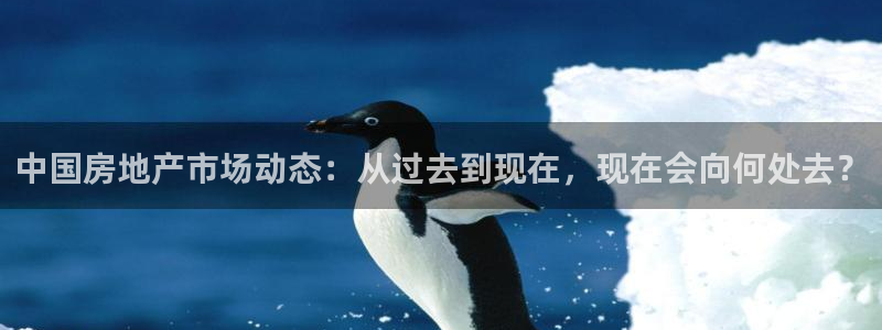 新宝gg5：中国房地产市场动态：从过去到现在，现在会向何处去