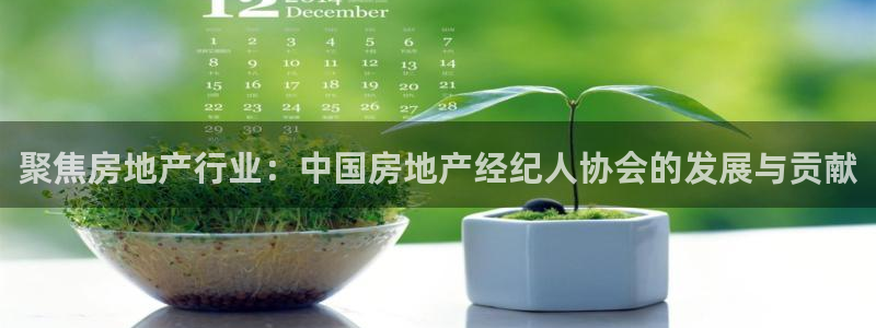 新宝5线路登录检测：聚焦房地产行业：中国房地产经纪人协会的发