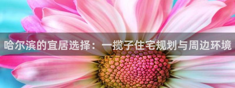 新宝5蒋7O667：哈尔滨的宜居选择：一揽子住宅规划与周边环