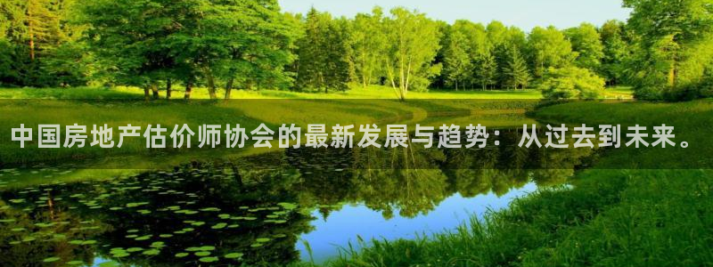 新宝5登录不了：中国房地产估价师协会的最新发展与趋势：从过去