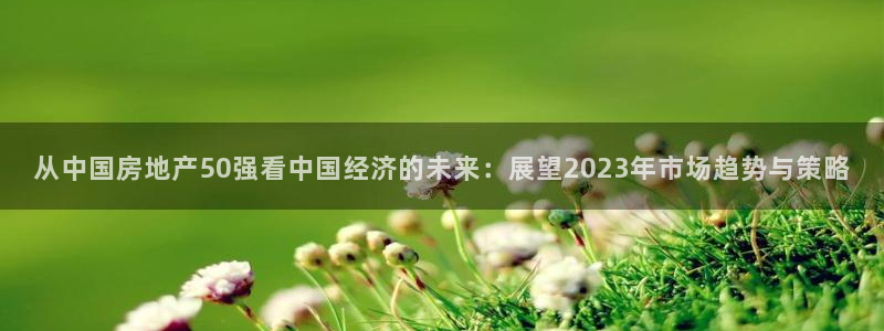 新宝5内部：从中国房地产50强看中国经济的未来：展望2023
