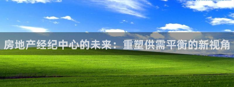 新宝5手机测速：房地产经纪中心的未来：重塑供需平衡的新视角