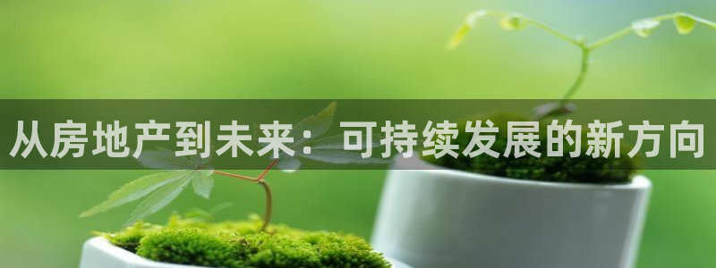 新宝5系列：从房地产到未来：可持续发展的新方向