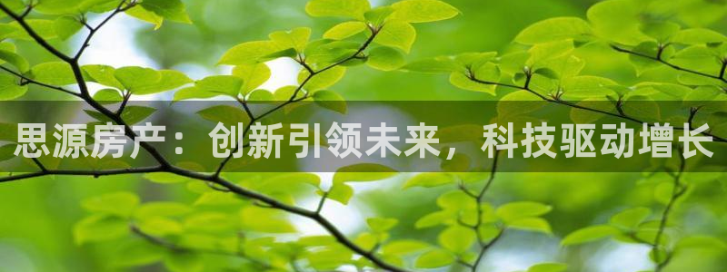 新宝5唯一：思源房产：创新引领未来，科技驱动增长