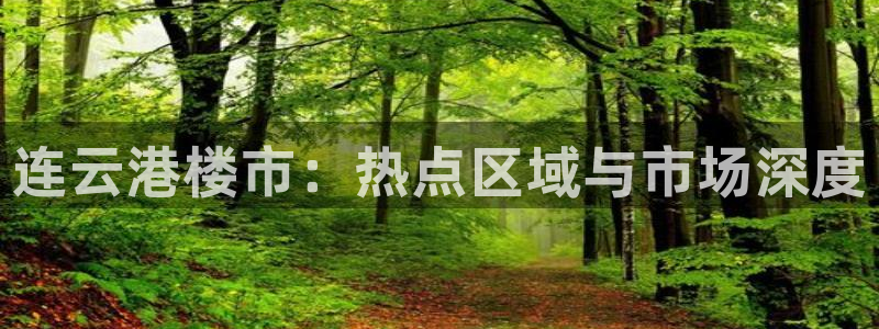 新宝5是谁：连云港楼市：热点区域与市场深度