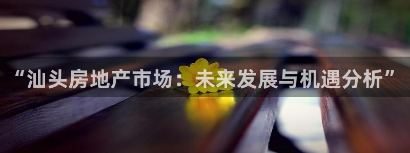 新宝5骗术：“汕头房地产市场：未来发展与机遇分析”