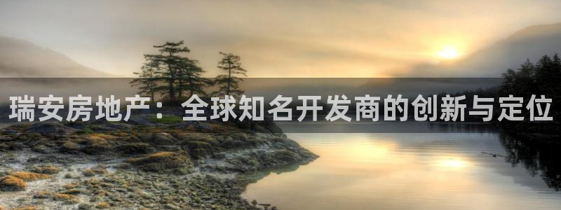 新宝娱乐5：瑞安房地产：全球知名开发商的创新与定位