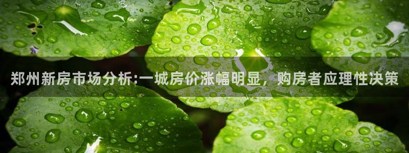 新宝5手机平台登陆：郑州新房市场分析:一城房价涨幅明显，购房