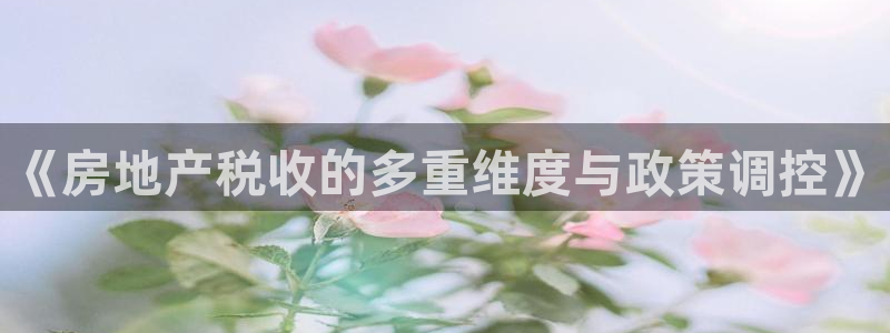 新宝5注册：《房地产税收的多重维度与政策调控》