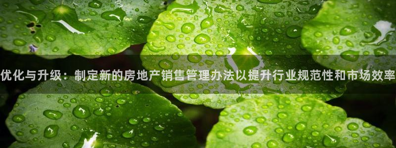 新宝5月：优化与升级：制定新的房地产销售管理办法以提升行业规