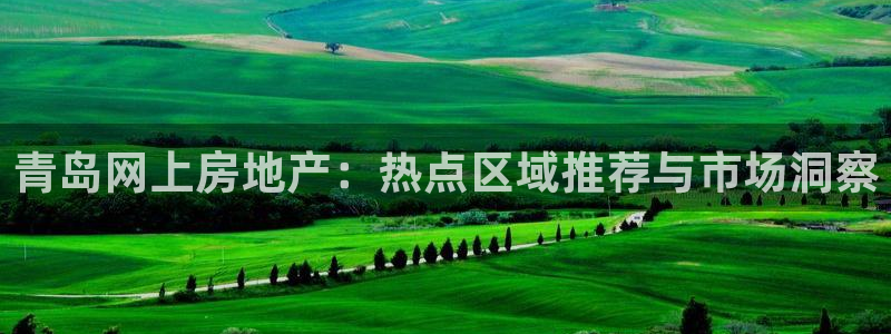 新宝5黑：青岛网上房地产：热点区域推荐与市场洞察