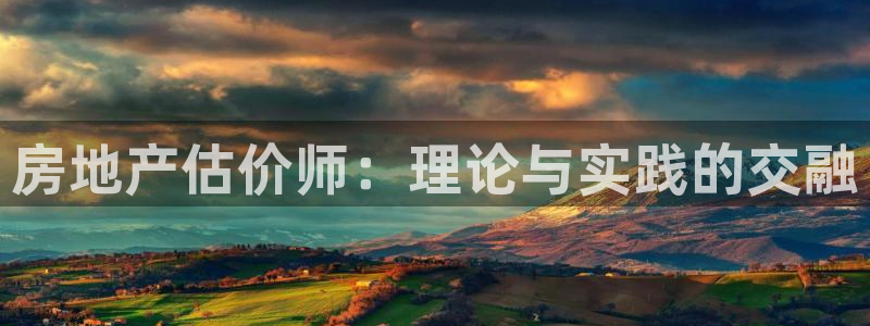 新宝测速5：房地产估价师：理论与实践的交融