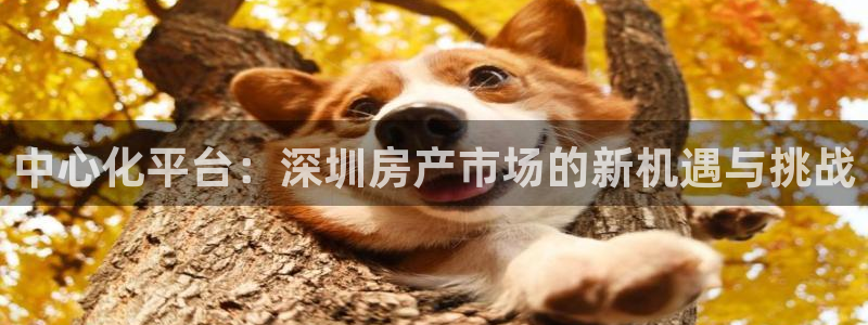 新宝5下载测试：中心化平台：深圳房产市场的新机遇与挑战