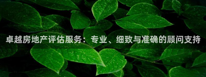 新宝5_测：卓越房地产评估服务：专业、细致与准确的顾问支持