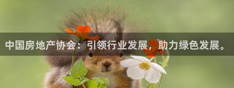 新宝5怎么下载到桌面：中国房地产协会：引领行业发展，助力绿色