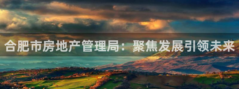 新宝_5：合肥市房地产管理局：聚焦发展引领未来
