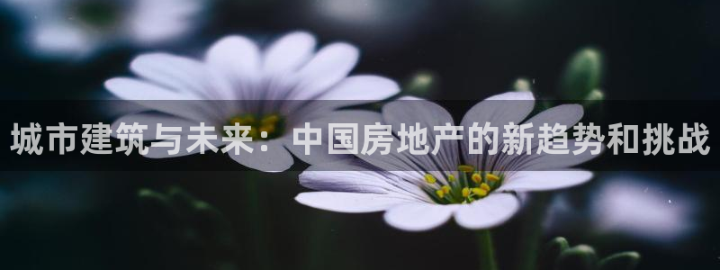 新宝5测速下载：城市建筑与未来：中国房地产的新趋势和挑战