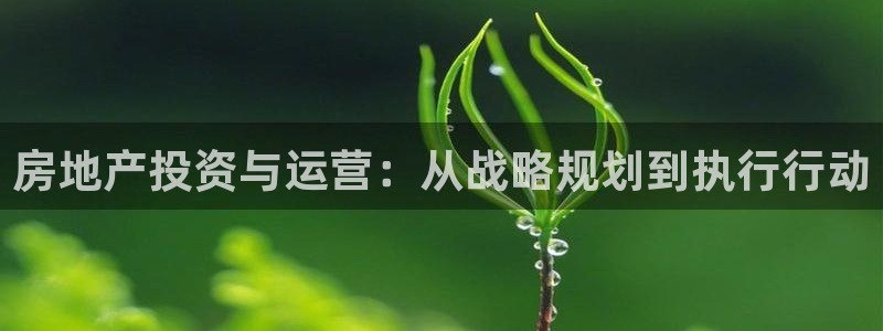 新宝5什么时候上市：房地产投资与运营：从战略规划到执行行动