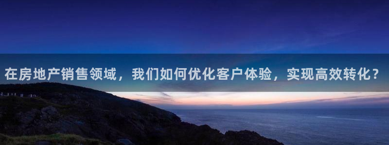 新宝5手机app：在房地产销售领域，我们如何优化客户体验，实