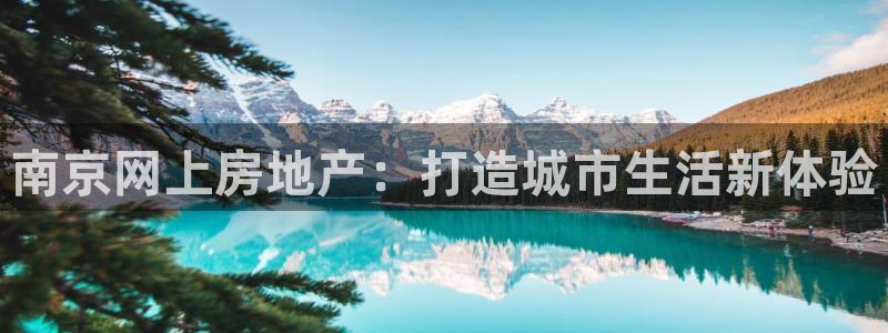 新宝5月：南京网上房地产：打造城市生活新体验