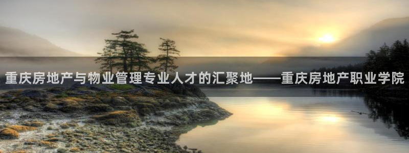 新宝5娱乐登录：重庆房地产与物业管理专业人才的汇聚地——重庆