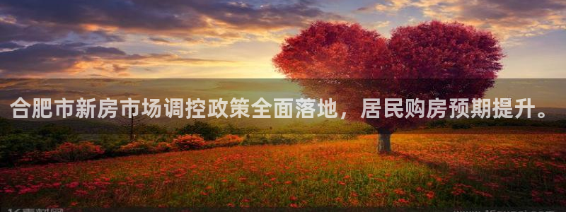 新宝5电脑登录网址：合肥市新房市场调控政策全面落地，居民购房