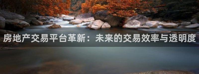 新宝5口67五壹叁八：房地产交易平台革新：未来的交易效率与透