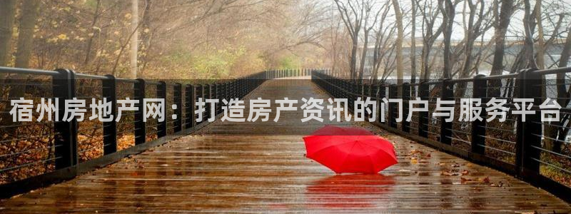 新宝5手机app：宿州房地产网：打造房产资讯的门户与服务平台