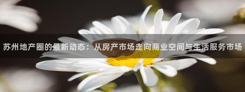新宝5 测速：苏州地产圈的最新动态：从房产市场走向商业空间与