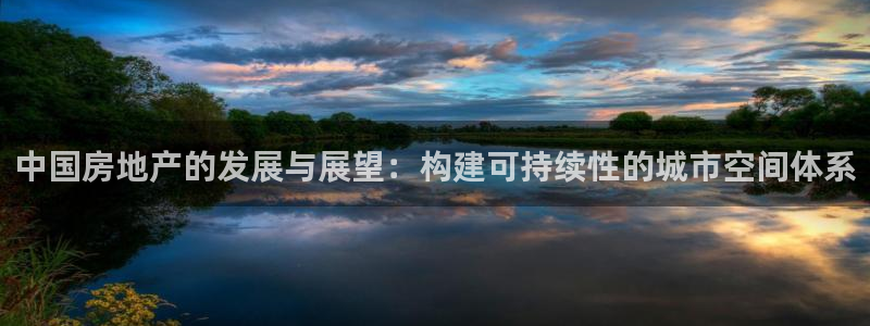 新宝堂新会陈皮5年：中国房地产的发展与展望：构建可持续性的城