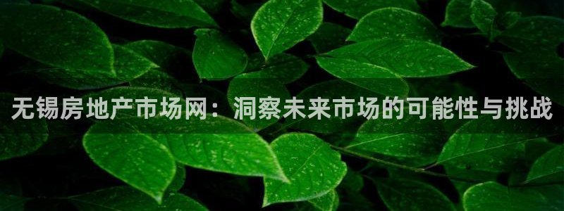 新宝5娱乐：无锡房地产市场网：洞察未来市场的可能性与挑战