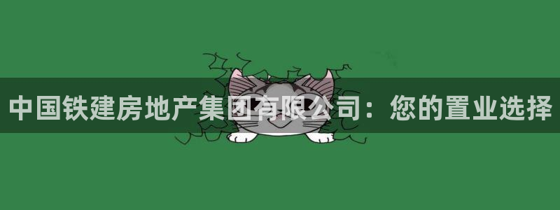 新宝新5：中国铁建房地产集团有限公司：您的置业选择