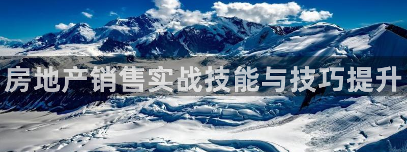 新宝5app：房地产销售实战技能与技巧提升