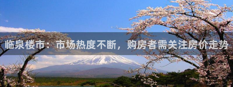 新宝5测速：临泉楼市：市场热度不断，购房者需关注房价走势