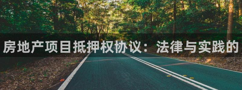 新宝5挂机软件：房地产项目抵押权协议：法律与实践的