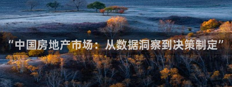 新宝5郑74OOO5：“中国房地产市场：从数据洞察到决策制定
