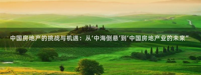 新宝5唯一：中国房地产的挑战与机遇：从‘中海倒悬’到‘中国房