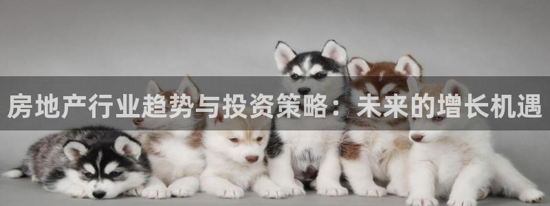 新宝5网址：房地产行业趋势与投资策略：未来的增长机遇