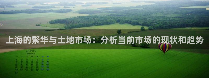 新宝h2O5O5O：上海的繁华与土地市场：分析当前市场的现状
