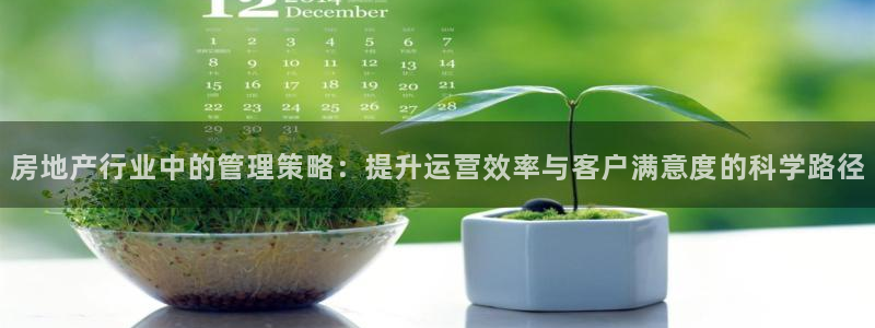 新宝5日：房地产行业中的管理策略：提升运营效率与客户满意度的