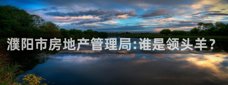 新宝5官网app：濮阳市房地产管理局:谁是领头羊？