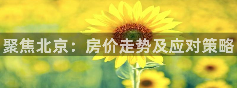 新宝5官网app：聚焦北京：房价走势及应对策略