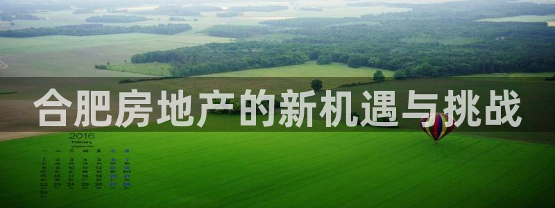 新宝3得74OO5：合肥房地产的新机遇与挑战